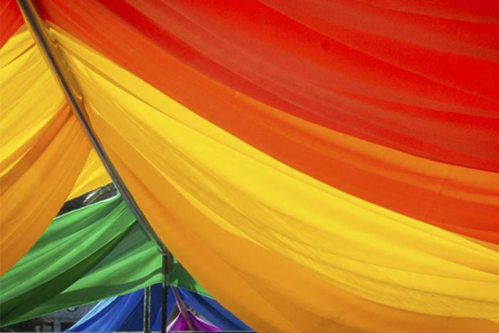 Bandera de la diversidad Bandera de la diversidad