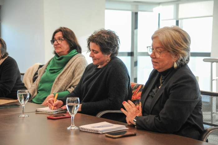 Reunión en Torre Ejecutiva por violencia vicaria.