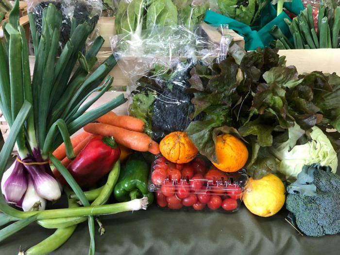 Frutas y verduras agroecológicas.
