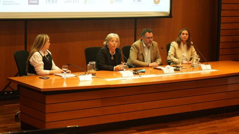 Mónica Xavier en uso de la palabra durante presentación de la Política de Género Agro. Foto: MGAP.