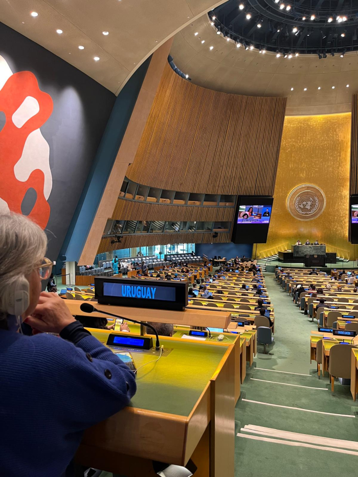 Mónica Xavier durante la Asamblea General de la ONU en el marco de la CSW70.