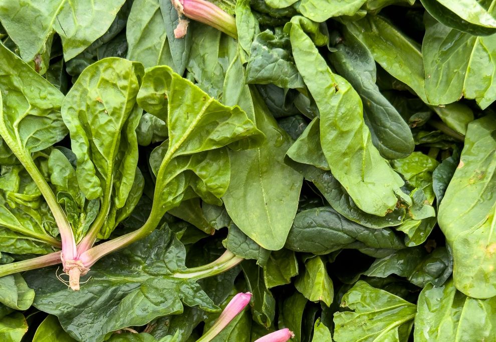 Precios de selección de frutas y verduras de estación del 29 de setiembre al 12 de octubre de 2026