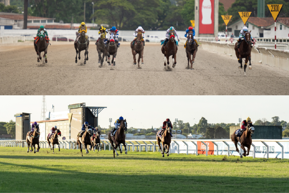 Dos imágenes de carreras de caballos.