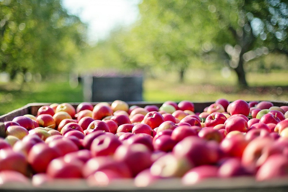 Cajón de manzanas