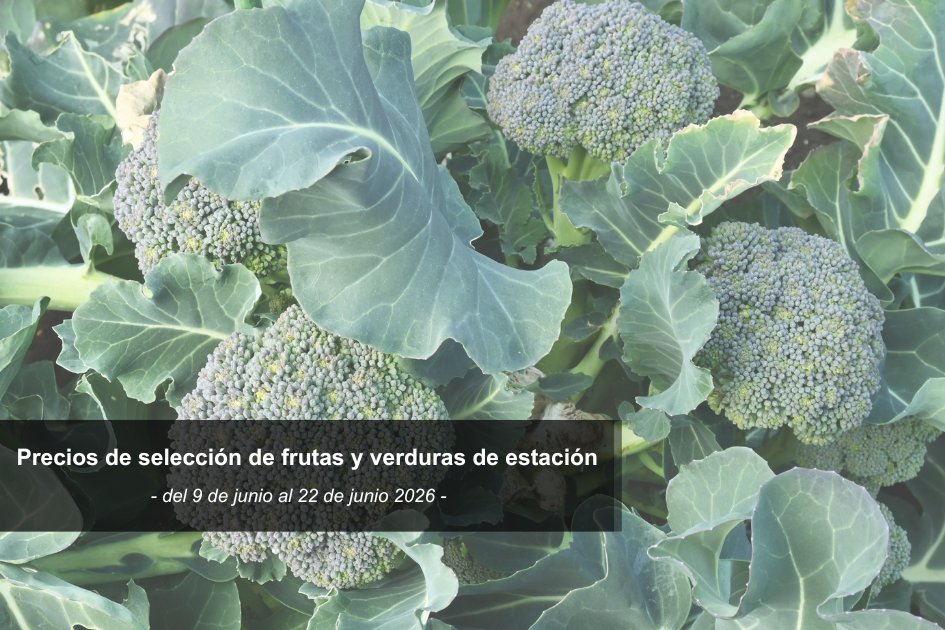 Brócolis 