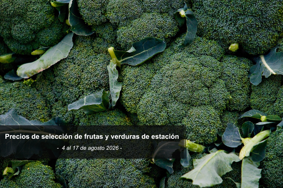 Brocolis