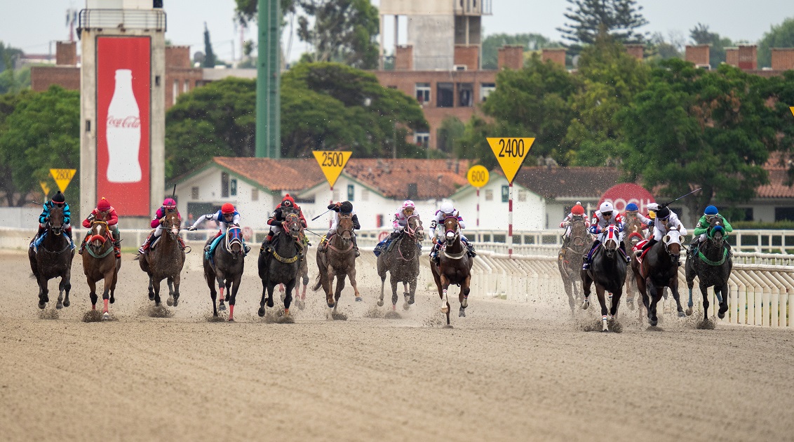 Caballos de carrera en pista