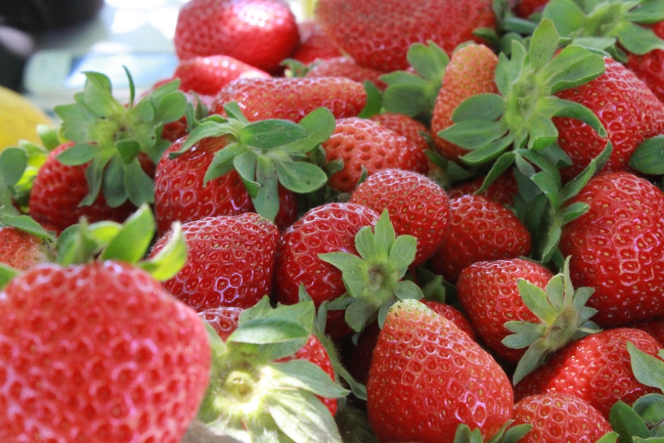 Frutillas