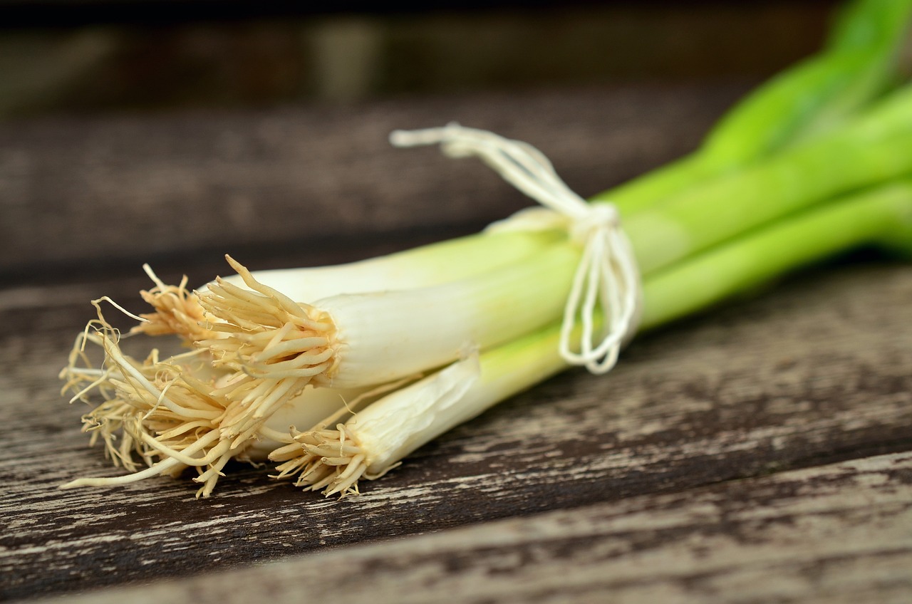 Cebolla de verdeo