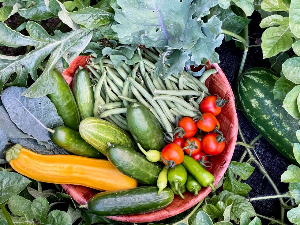 Verduras de invierno