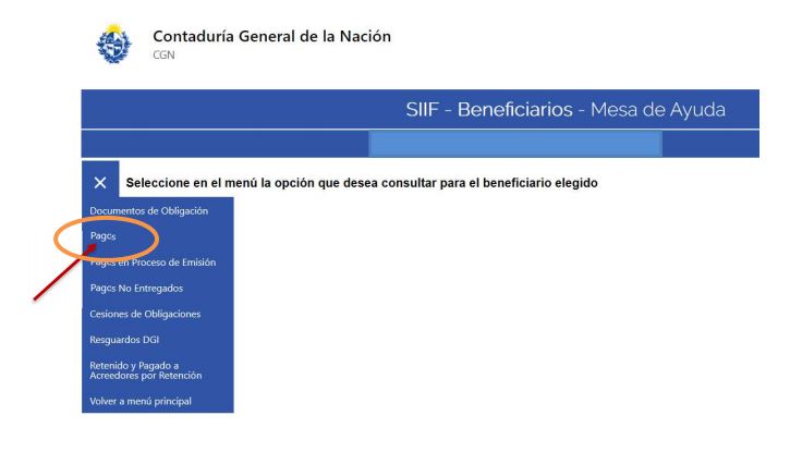 Ingreso opción pagos