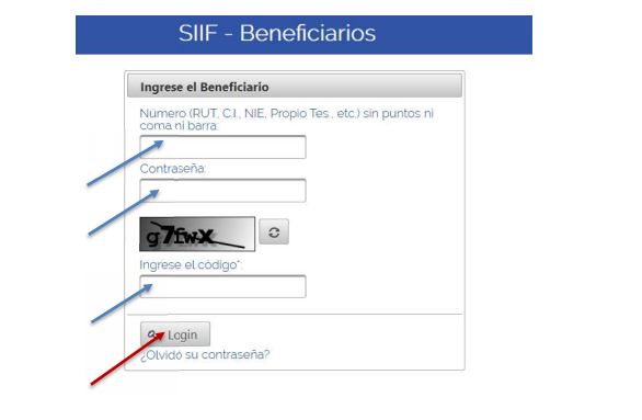 Ingreso de datos