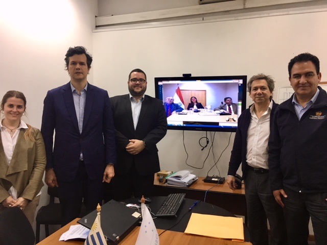 Coordinadores nacionales de Argentina, Brasil, Bolivia y Uruguay en videoconferencia con Paraguay