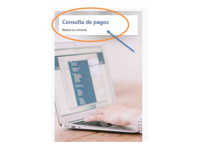 Acceso a la consulta de pagos