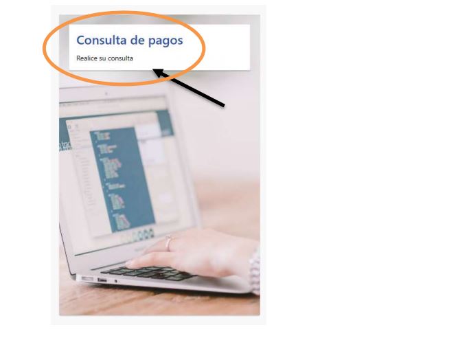 Ingreso a Consulta de Pagos