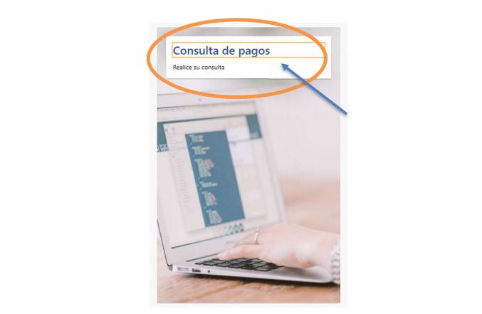 Ingreso a la Consulta de pagos