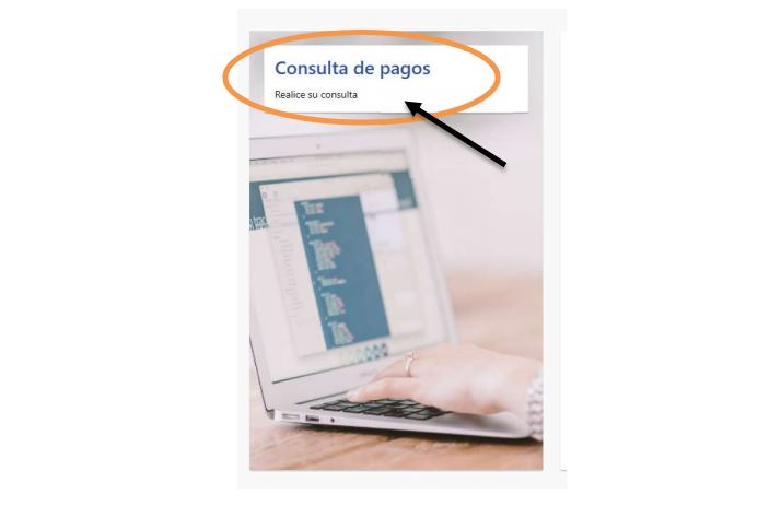 Ingreso a consulta de pagos
