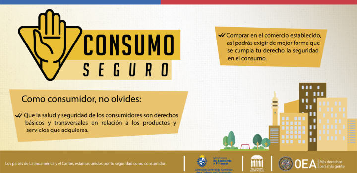 Consumo Seguro