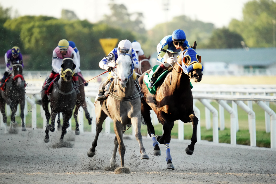 Hipódromo de Maroñas