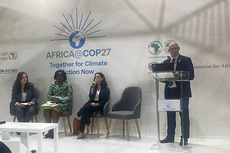 Panel de la Coalición de Países de África para el Financiamiento Sostenible Panel de la Coalición de Países de África para el Financiamiento Sostenible