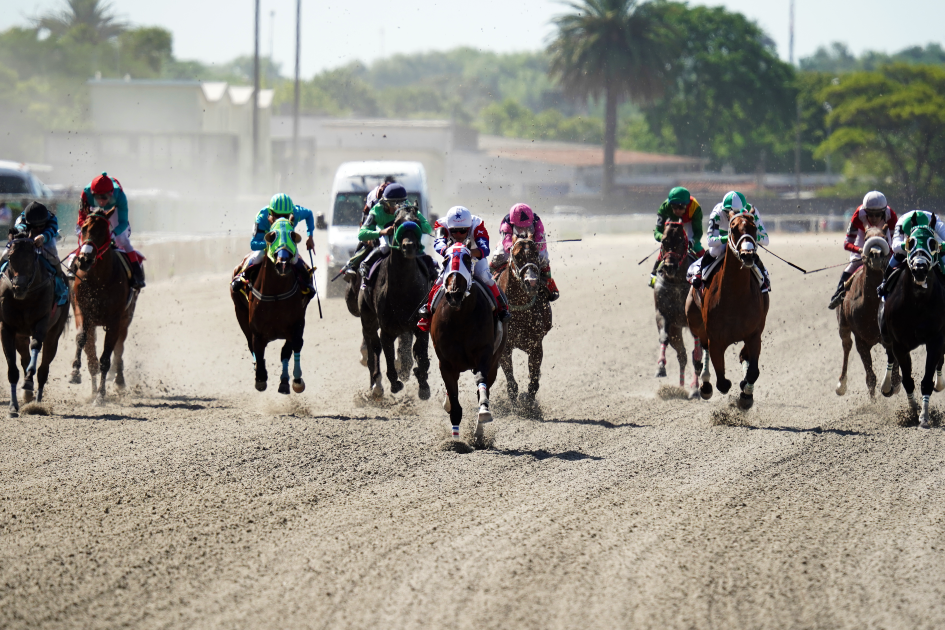 Gran Premio Ramírez 2023 Hipódromo de Maroñas