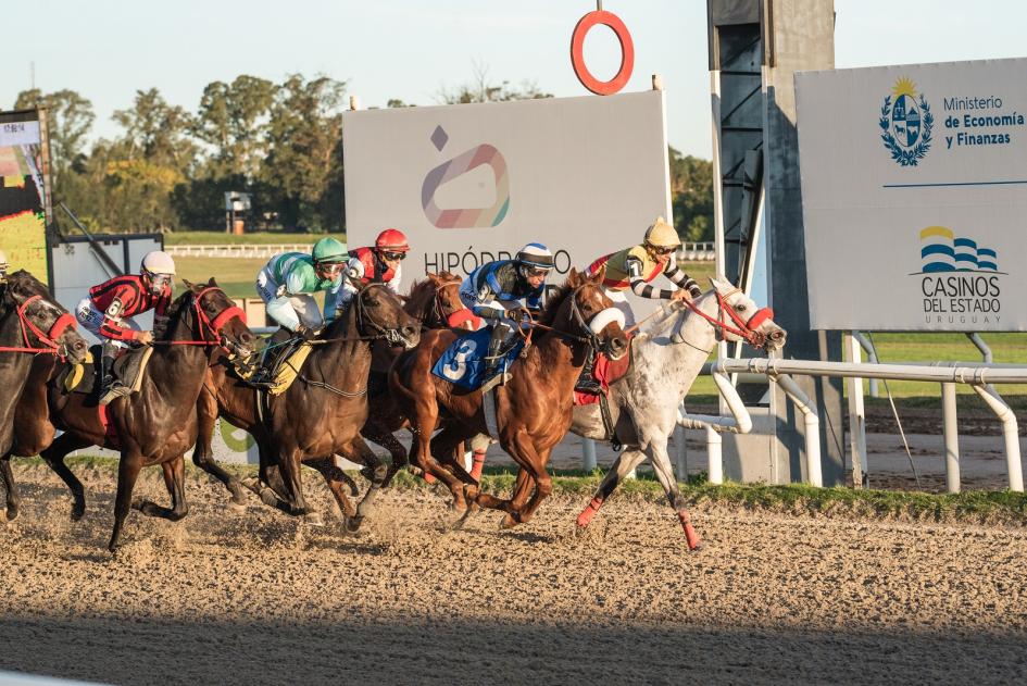 Carrera de caballos Carrera de caballos