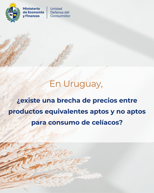 Día Nacional del Paciente Celíaco La información de esta imagen puede consultarse en el informe.