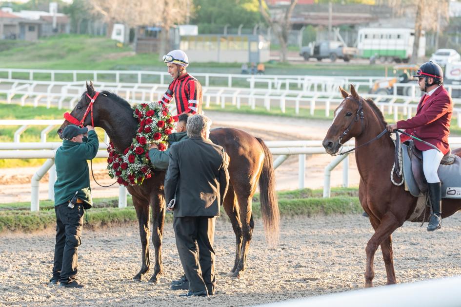 Entrega de premios a caballo ganador del gran Premio Batalla de las Piedras Entrega de premios a caballo ganador del gran Premio Batalla de las Piedras