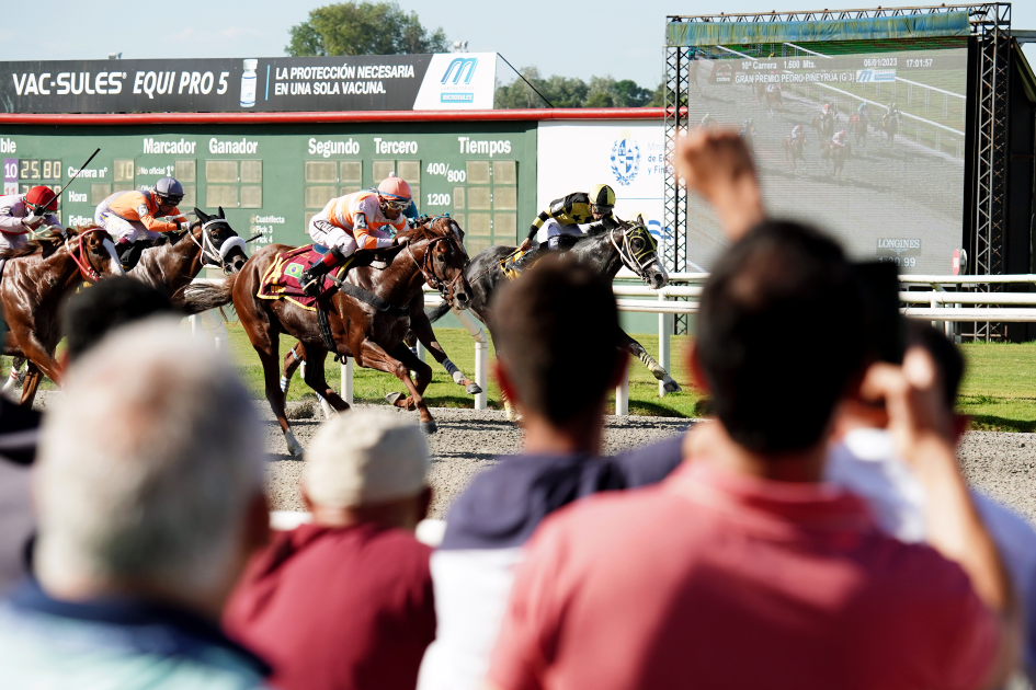 Hipódromo de Maroñas