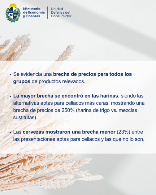 Día Nacional del Paciente Celíaco La información de esta imagen puede consultarse en el informe.