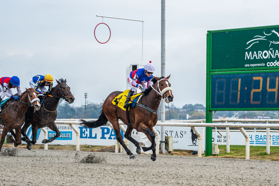 Jornada de Turf celebrando el 23° aniversario de la reapertura del Hipódromo de Maroñas Caballo llegando a la meta durante carrera