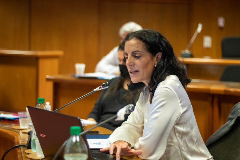Ministra Azucena Arbeleche y subsecretario Alejandro Irastorza Comisión de Presupuestos integrada con Hacienda de Diputados