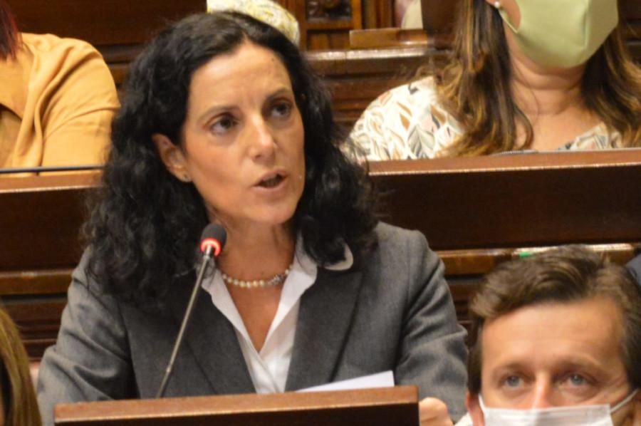 Comparecencia en el Parlamento Ministra Azucena Arbeleche