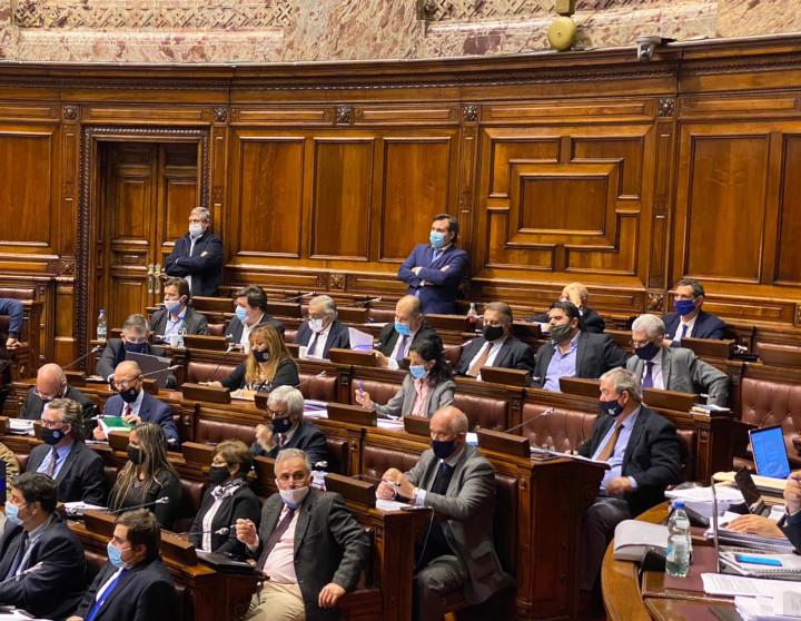 Ministra Azucena Arbeleche Llamado a sala en Diputados