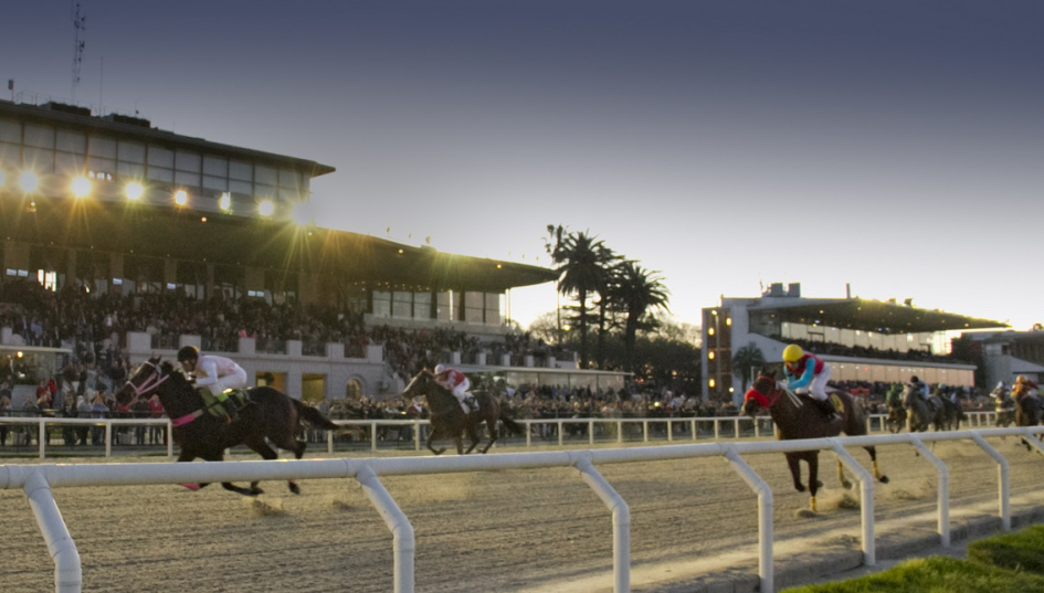 Carrera de caballo en un hipódromo