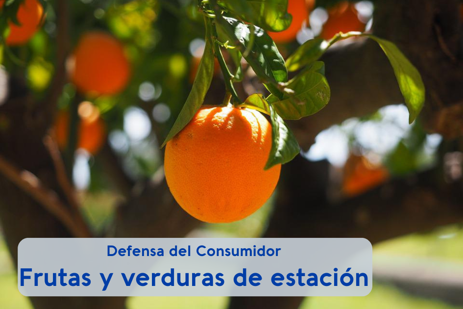Frutas y verduras de estación Frutas y verduras de estación