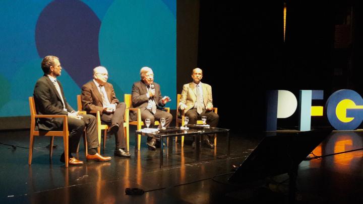 IV encuentro anual del PFGP Doyle, Clastornik, Astori, Borchardt