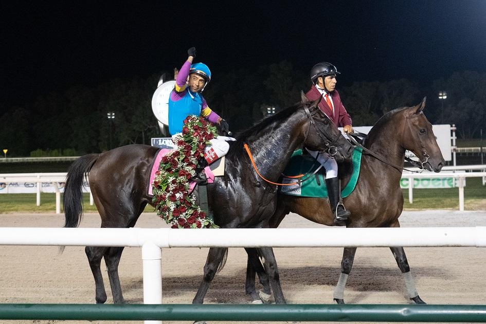 Caballos de carrera en pista