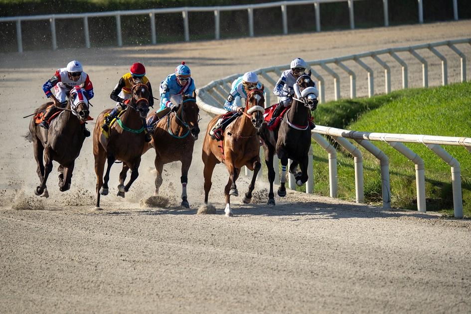 Hipódromo de Maroñas Entrega de premios