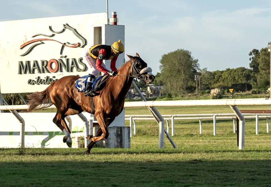 Hipódromo de Maroñas Entrega de premios