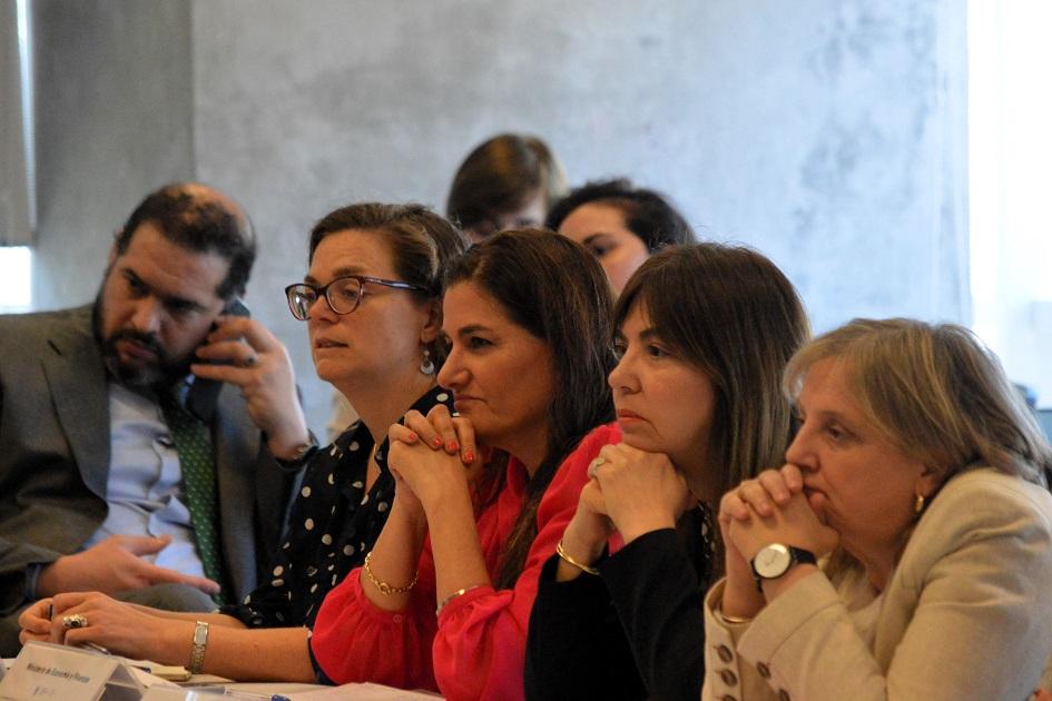 Marcela Bensión en el Consejo Nacional de Género