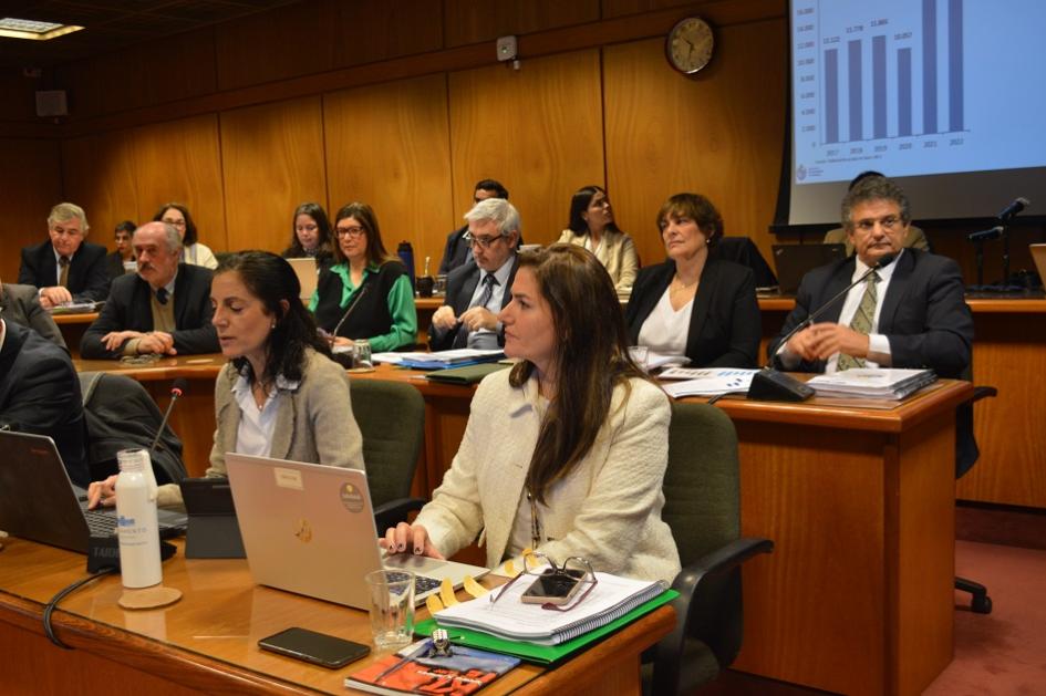 Equipo económico presentando Rendición de cuentas en Comisión del Parlamento