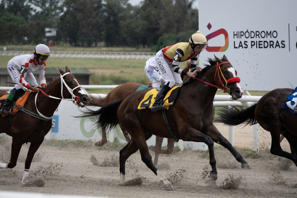 Caballos durante la carrera