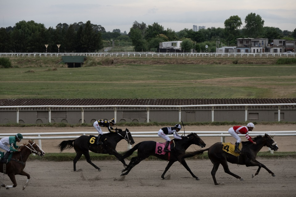 Caballos durante la carrera