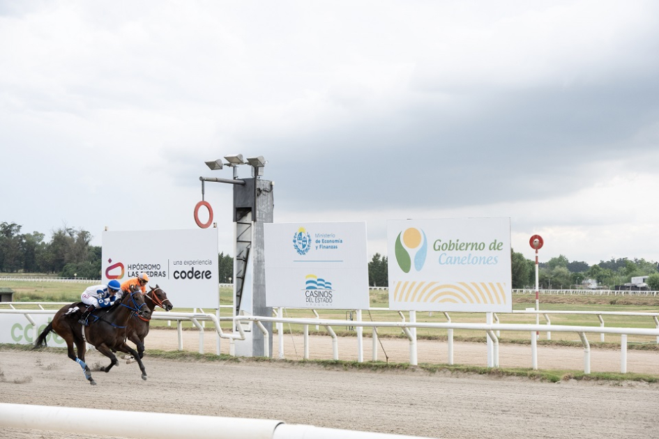 Caballo llegando a la meta durante la carrera