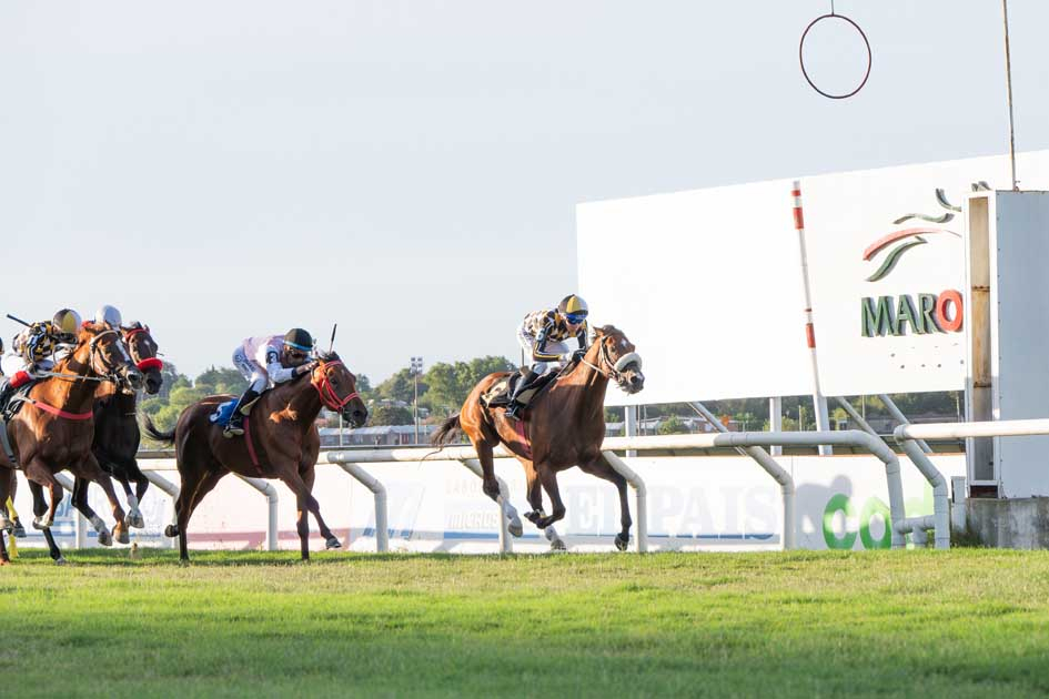 Jornada hípica - Hipódromo Nacional de Maroñas 