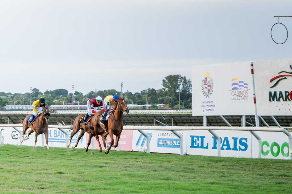 Jornada hípica - Hipódromo Nacional de Maroñas 