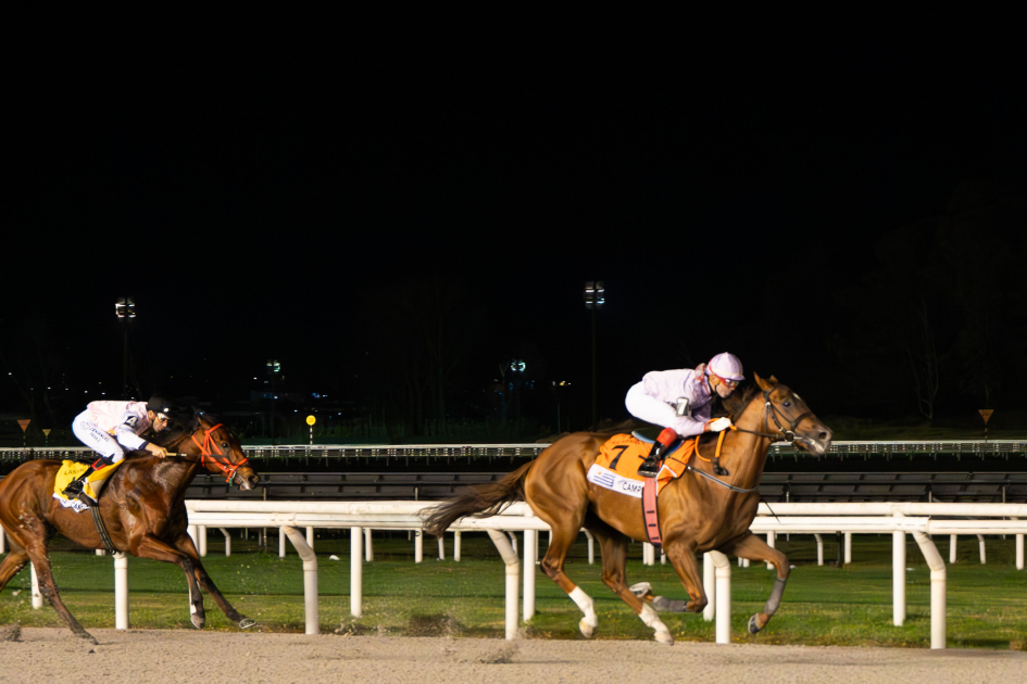 Caballos en carrera