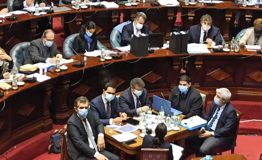 Ministra Arbeleche y ministro Salinas en el Parlamento Interpelación por pandemia