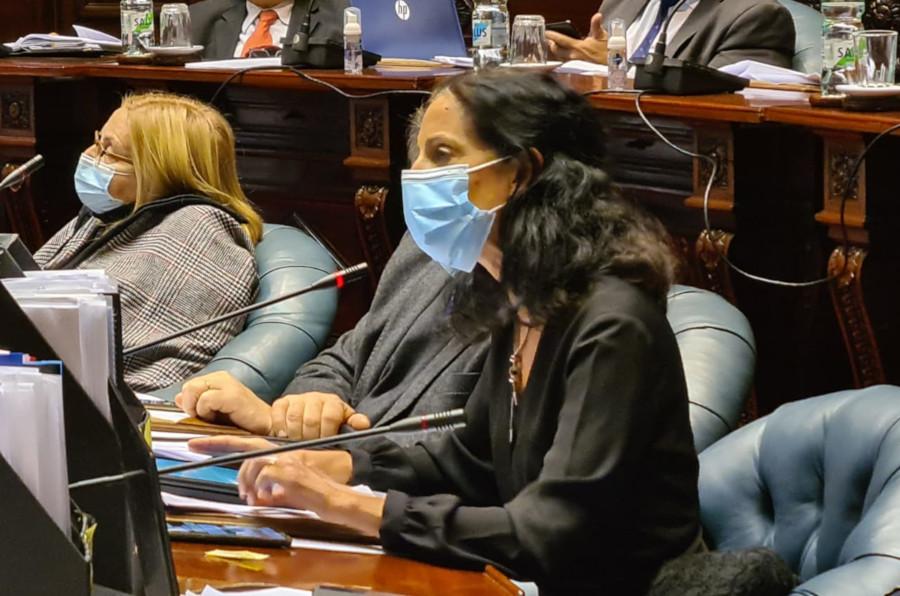 Ministra Arbeleche y ministro Salinas en el Parlamento Interpelación por pandemia
